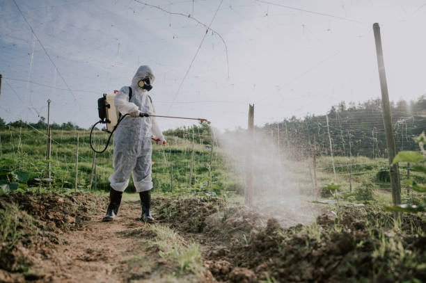 Pest Control Cost in Waterford, WI