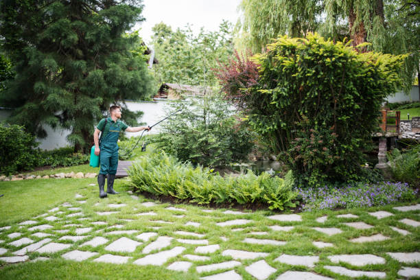 Best Pest Prevention Services  in Waterford, WI