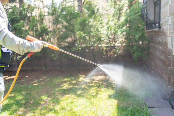 Best Pest Inspection Near Me  in Waterford, WI